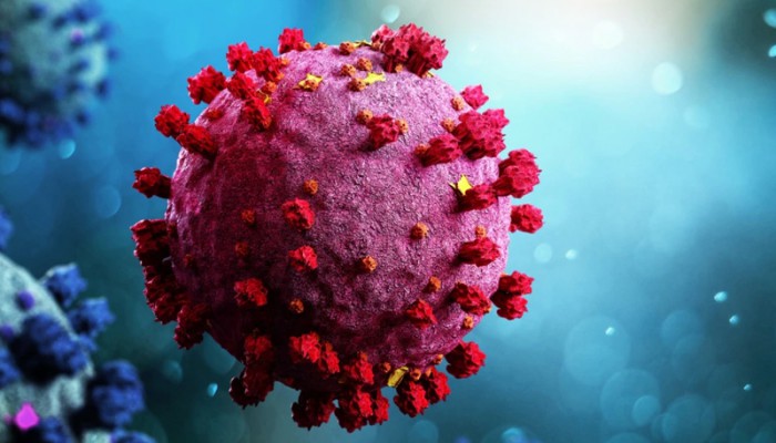 করোনায় মৃত্যুহীন দিনে শনাক্ত ১৭