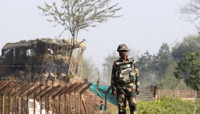 সীমান্ত থেকে ১৭ ছাগল নিয়ে গেল বিএসএফ, অতঃপর...