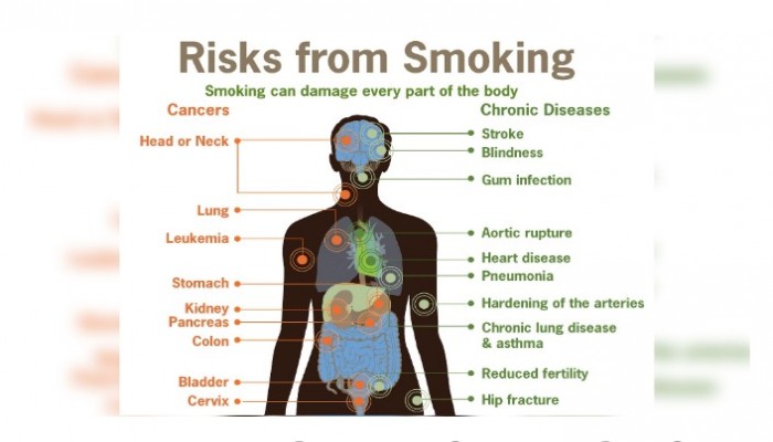 ধূমপান স্বাস্থ্যের জন্য ক্ষতিকর এই কথাটি সিগারেটের প্যাকেটেই লেখা থাকে,  ধূমপান করলে শরীরে যা ঘটে