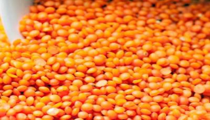 ২০ হাজার টন মসুর ডাল কেনা হবে টিসিবির জন্য