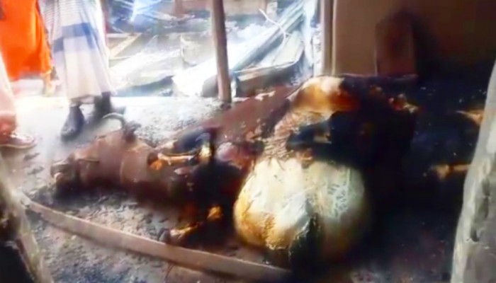 টিভি আসক্ততেই নিস্ব  বিধবা রাশিয়া