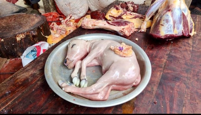 বৃহত্তর হাটে জবাইকৃত গরুর পেট থেকে পাওয়া গেল বাছুর, আলোচনা সমালোচনার ঝড়