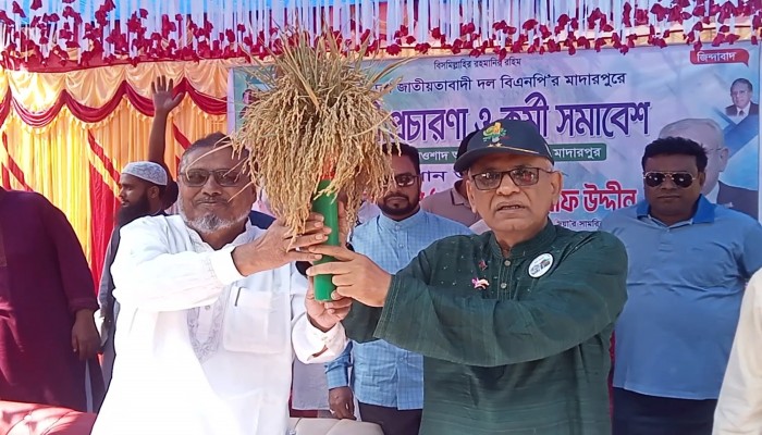 গোদাগাড়ীতে ধানের শীষের প্রচারণা ও কর্মী সমাবেশ অনুষ্ঠিত