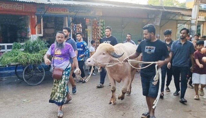 আলোচিত মহিষ ‘ডোনাল্ড ট্রাম্প’–এর ঠিকানা হচ্ছে চিড়িয়াখানা