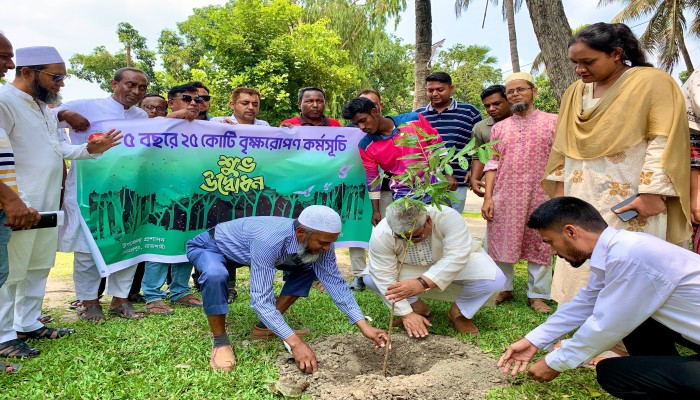 রাজশাহীতে বৃক্ষরোপণ কর্মসূচি শুরু