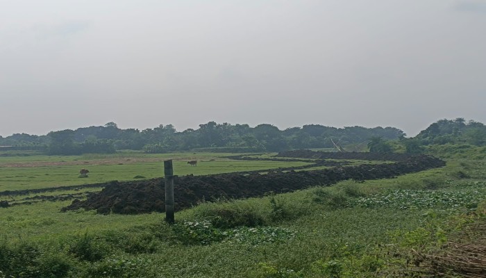 হাইকোর্টের আদেশকে বৃদ্ধাঙ্গুলি: বাগমারায় ফসলি জমিতে পুকুর খনন, নীরব প্রশাসন