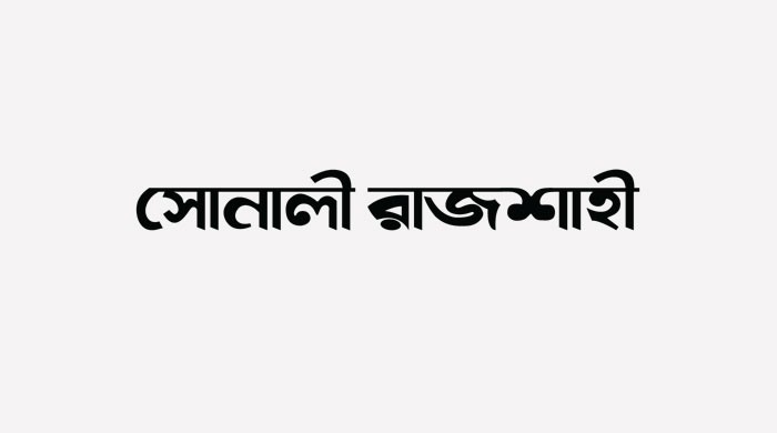 বাঘায় জেলা ডিবির অভিযানে মাদকসহ ৩জন গ্রেফতার